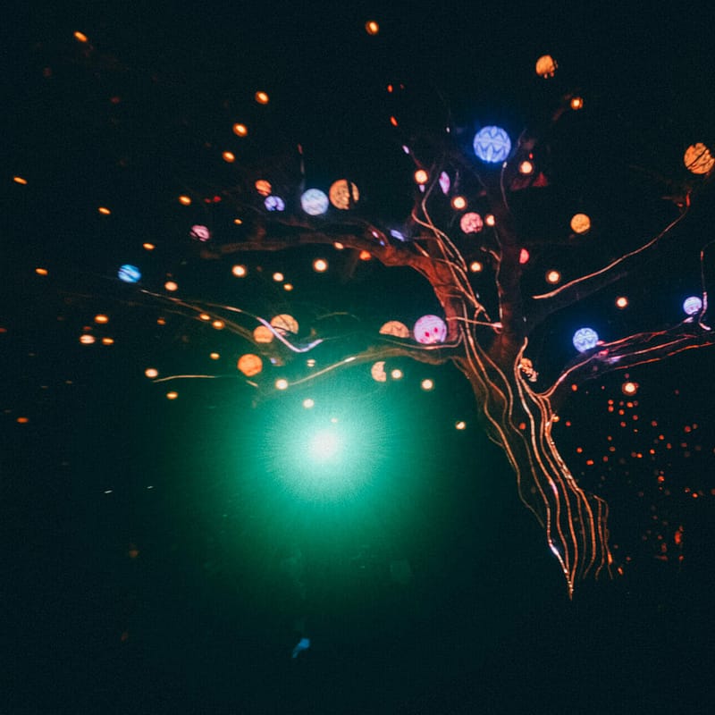 A glowing tree in the darkness.